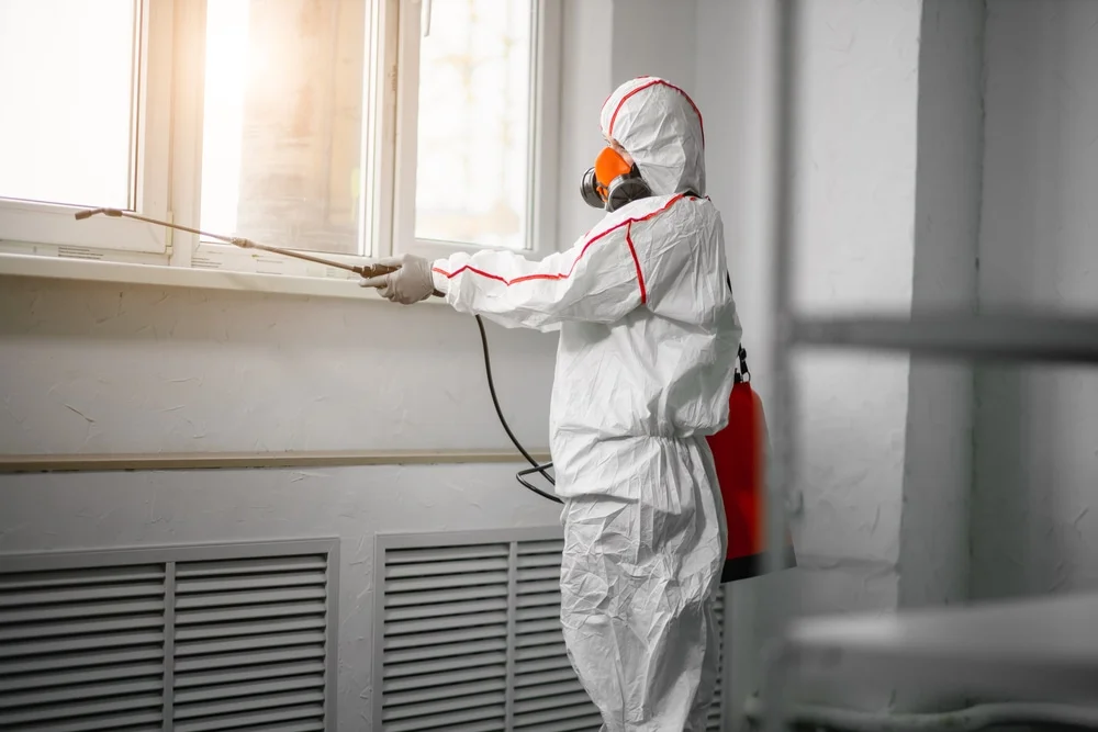 Professional mold remediation services in Strafford, NH